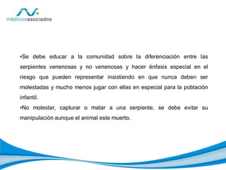 •Se debe educar a la comunidad sobre la diferenciación entre las
serpientes venenosas y no venenosas y hacer énfasis especial en el
riesgo que pueden representar insistiendo en que nunca deben ser
molestadas y mucho menos jugar con ellas en especial para la población
infantil.
•No molestar, capturar o matar a una serpiente, se debe evitar su
manipulación aunque el animal este muerto.
 