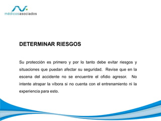 DETERMINAR RIESGOS
Su protección es primero y por lo tanto debe evitar riesgos y
situaciones que puedan afectar su seguridad. Revise que en la
escena del accidente no se encuentre el ofidio agresor. No
intente atrapar la víbora si no cuenta con el entrenamiento ni la
experiencia para esto.
 