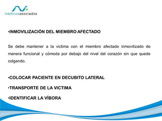 •INMOVILIZACIÓN DEL MIEMBRO AFECTADO
Se debe mantener a la victima con el miembro afectado inmovilizado de
manera funcional y cómoda por debajo del nivel del corazón sin que quede
colgando.
•COLOCAR PACIENTE EN DECUBITO LATERAL
•TRANSPORTE DE LA VICTIMA
•IDENTIFICAR LA VÍBORA
 