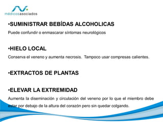 •SUMINISTRAR BEBÍDAS ALCOHOLICAS
Puede confundir o enmascarar síntomas neurológicos
•HIELO LOCAL
Conserva el veneno y aumenta necrosis. Tampoco usar compresas calientes.
•EXTRACTOS DE PLANTAS
•ELEVAR LA EXTREMIDAD
Aumenta la diseminación y circulación del veneno por lo que el miembro debe
estar por debajo de la altura del corazón pero sin quedar colgando.
 