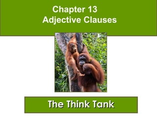 Chapter 13
Adjective Clauses




 The Think Tank1
 