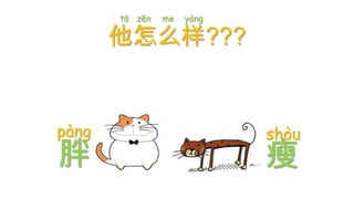 tā zĕn

me

yàng

他怎么样???

pàng

胖

shòu

瘦

 
