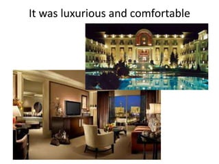 It was luxurious and comfortable
(comfy)

 