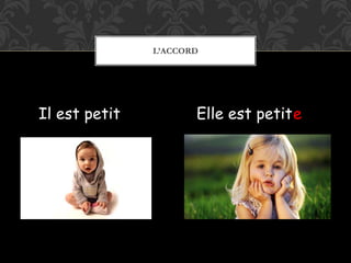 L’ACCORD
Il est petit Elle est petite
 