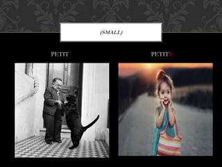 PETIT PETITE
(SMALL)
 