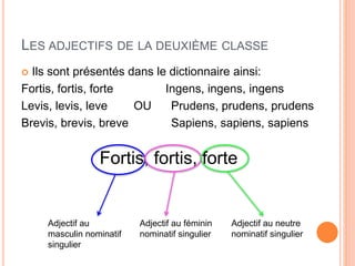 LES ADJECTIFS DE LA DEUXIÈME CLASSE
 Ils sont présentés dans le dictionnaire ainsi:
Fortis, fortis, forte Ingens, ingens, ingens
Levis, levis, leve OU Prudens, prudens, prudens
Brevis, brevis, breve Sapiens, sapiens, sapiens
Fortis, fortis, forte
Adjectif au
masculin nominatif
singulier
Adjectif au féminin
nominatif singulier
Adjectif au neutre
nominatif singulier
 