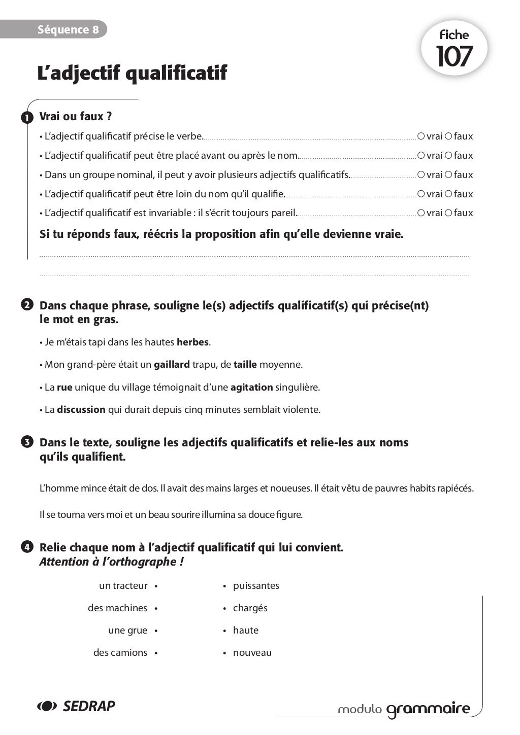 L Accord De L Adjectif Qualificatif Exercices Pdf