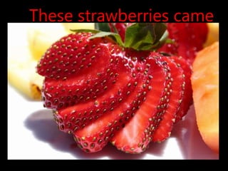 These strawberries came
from Amman.
 