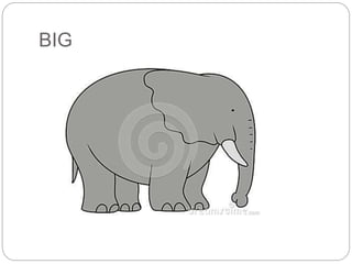 BIG 
 