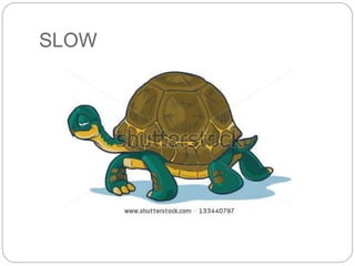 SLOW 
 