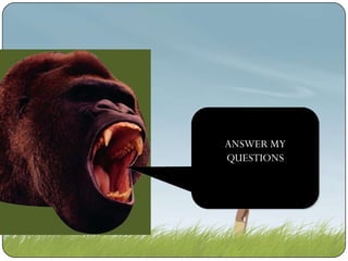 ANSWER MY
chomp!
QUESTIONS
chomp!

 