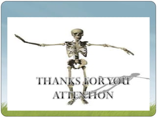 Adjective and adverb kelompok ii