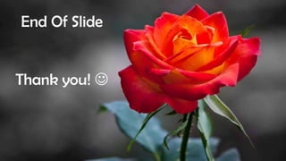 End Of Slide
Thank you! 
 