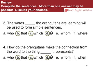 Review 
Complete the sentences. More than one answer may be 
possible. Discuss your choices. 
3. The words _____ the orangutans are learning will 
14 
be used to form simple sentences. 
a. who b. that c. which d. Ǿ e. whom f. where 
4. How do the orangutans make the connection from 
the word to the thing _____ it represents? 
a. who b. that c. which d. Ǿ e. whom f. when 
 