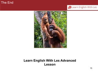 15 
The End 
Learn English With Les Advanced 
Lesson 
