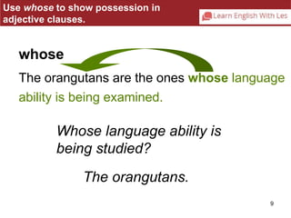 Use whose to show possession in 
adjective clauses. 
whose 
The orangutans are the ones whose language 
ability is being examined. 
9 
Whose language ability is 
being studied? 
The orangutans. 
 