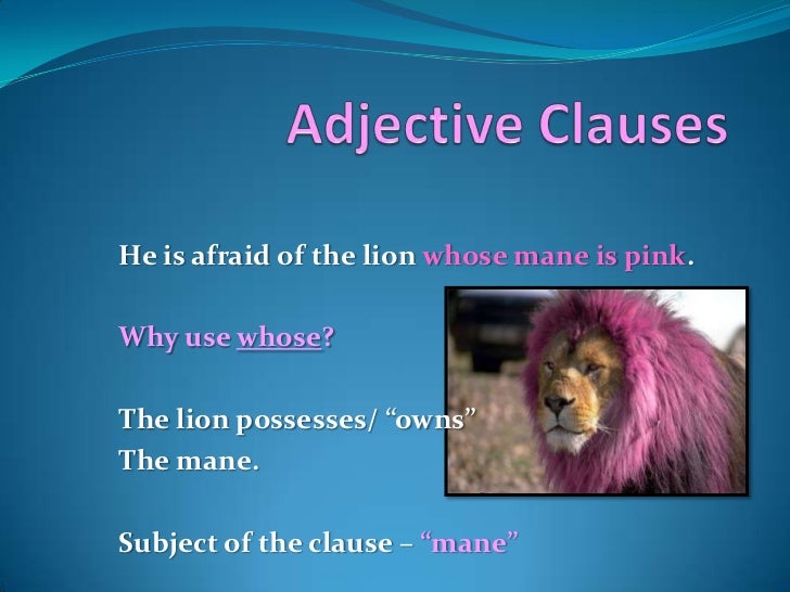 Relative Clauses - Adjective clauses