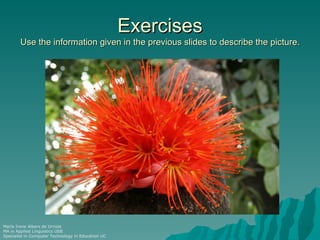 Exercises
        Use the information given in the previous slides to describe the picture.




María Irene Albers de Urriola
MA in Applied Linguistics USB
Specialist in Computer Technology in Education UC
 