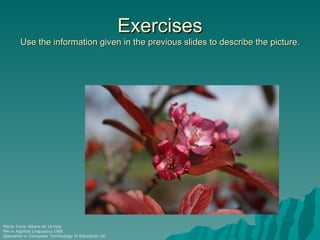 Exercises
        Use the information given in the previous slides to describe the picture.




María Irene Albers de Urriola
MA in Applied Linguistics USB
Specialist in Computer Technology in Education UC
 
