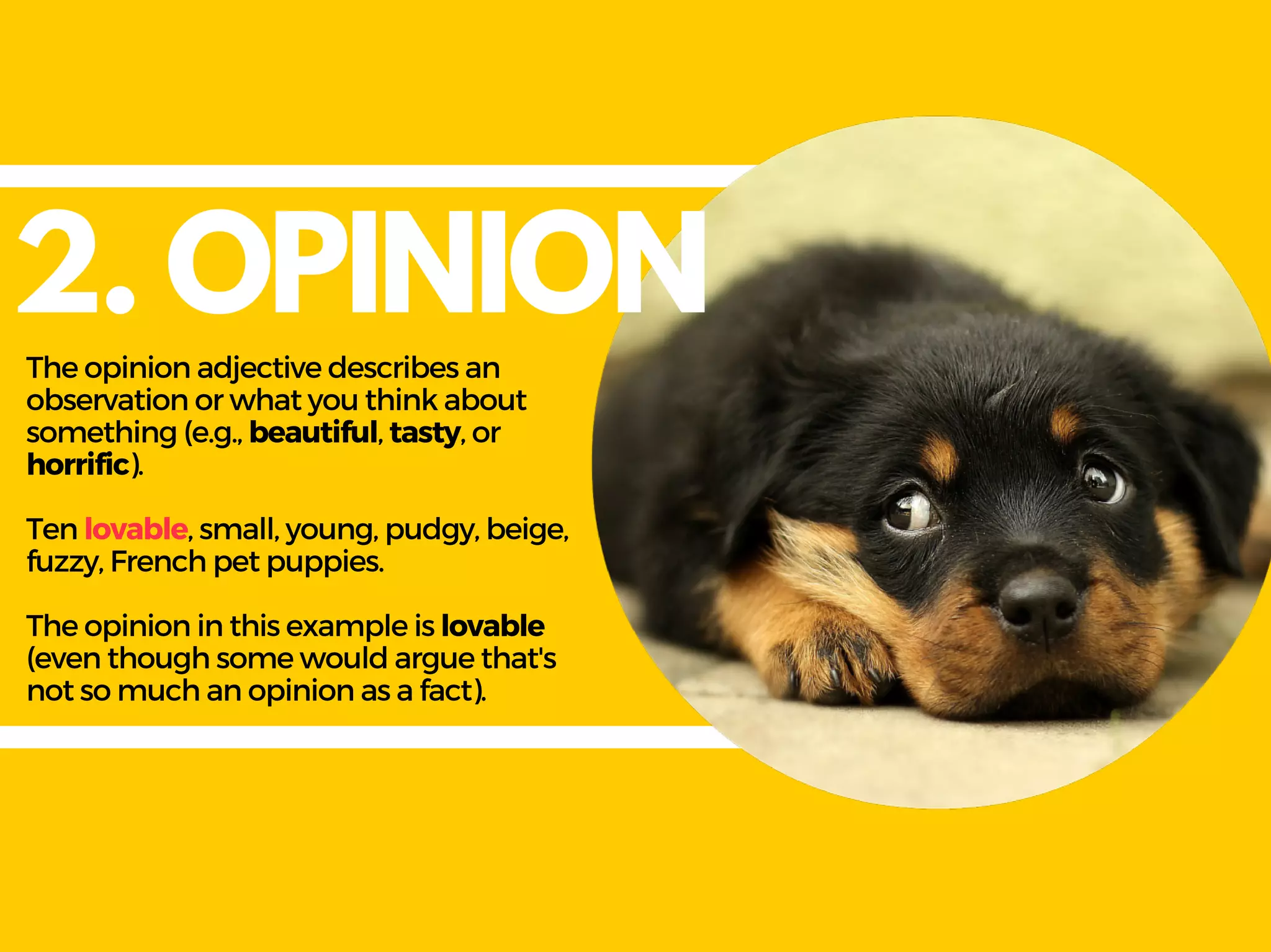 2. OPINION
Theopinionadjectivedescribesan
observationorwhatyouthinkabout
something(e.g., beautiful, tasty, or
horrific).
Tenlovable, small, young, pudgy, beige,
fuzzy, Frenchpetpuppies.
Theopinioninthisexampleislovable
(eventhoughsomewouldarguethat's
notsomuchanopinionasafact).
 