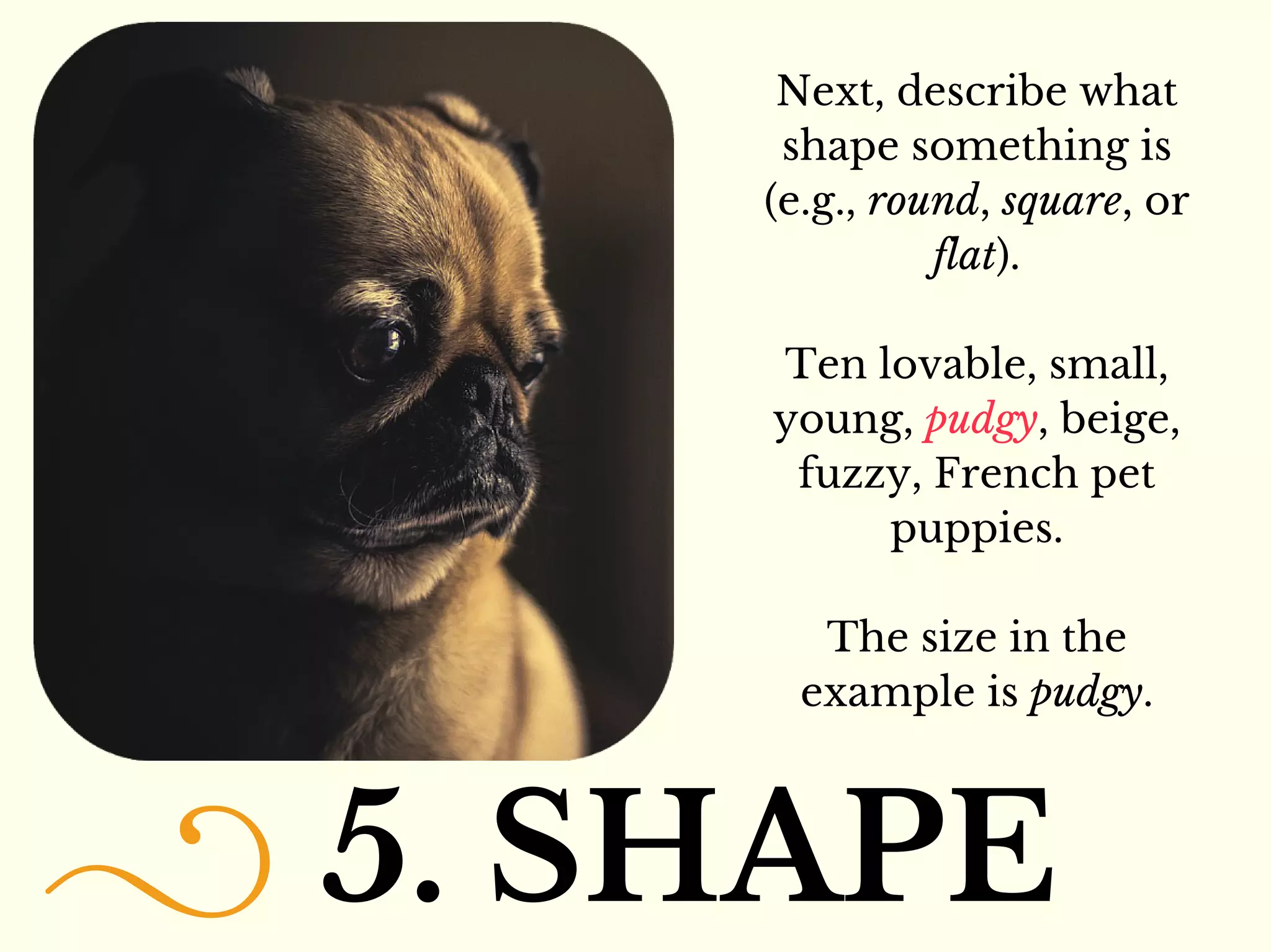 5. SHAPE
Next, describe what
shape something is
(e.g., round, square, or
flat).
Ten lovable, small,
young, pudgy, beige,
fuzzy, French pet
puppies.
The size in the
example is pudgy.
 