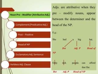 ADJECTIVE PHRASES.pptx////Active-reading-2- key.pdf