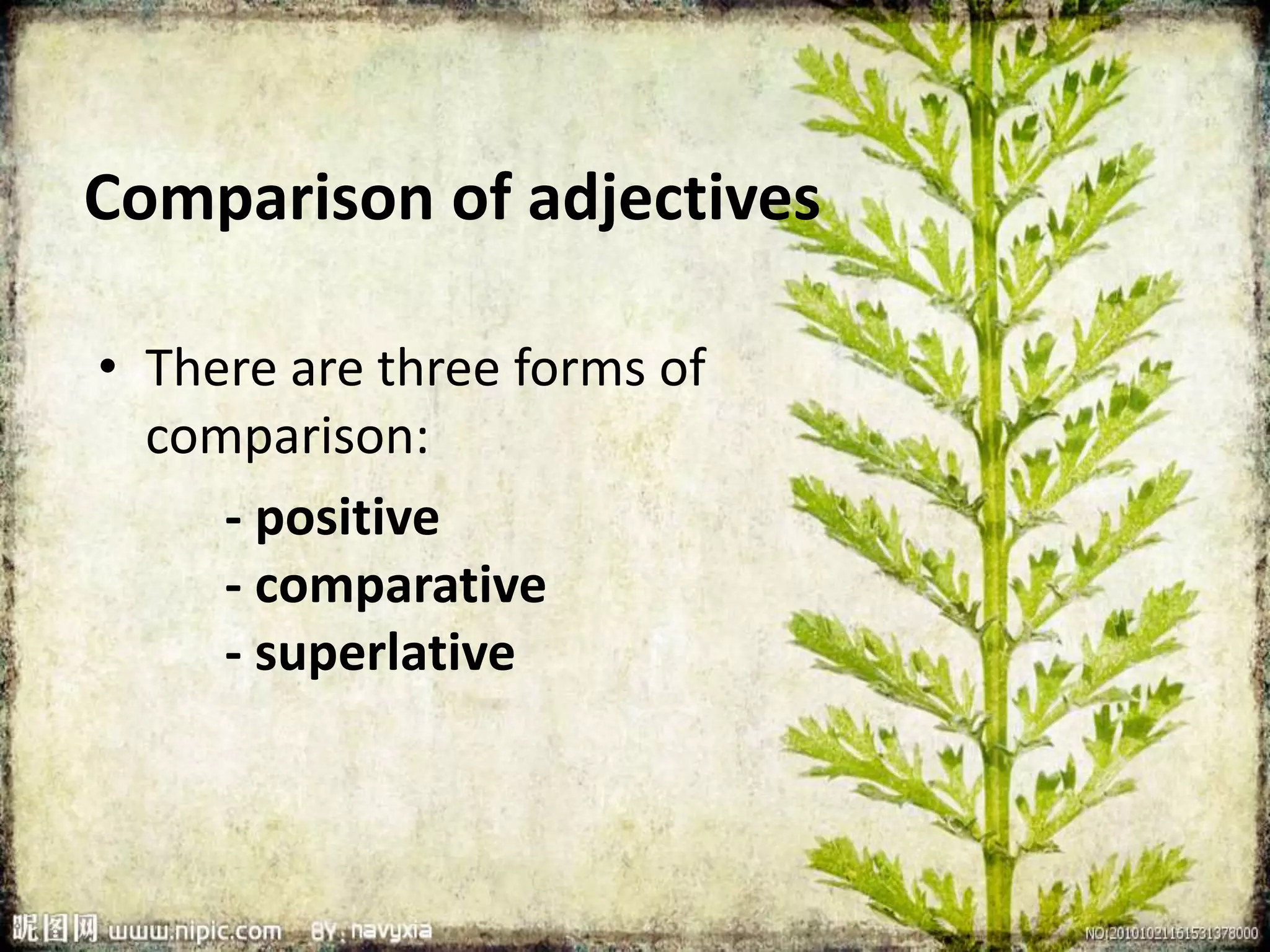 Comparison of adjectives 
• There are three forms of 
comparison: 
- positive 
- comparative 
- superlative 
 