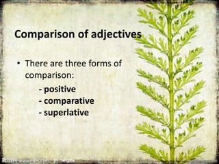 Comparison of adjectives 
• There are three forms of 
comparison: 
- positive 
- comparative 
- superlative 
 