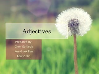 Adjectives 
Prepared by: 
Chen Eu Keok 
Kee Guek Fen 
Low Zi Xin 
 