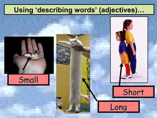 Small Short Long Using ‘describing words’ (adjectives)… 