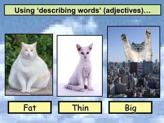 Fat Thin Big Using ‘describing words’ (adjectives)… 