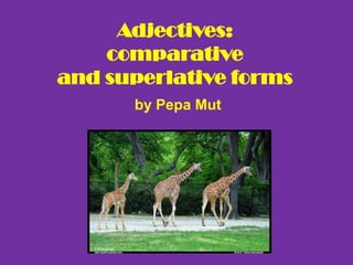 Adjectives:comparative and superlative forms by Pepa Mut 