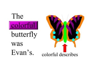 The
colorful
butterfly
was
Evan’s.     colorful describes
 