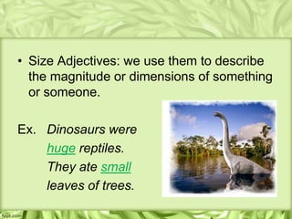 • Size Adjectives: we use them to describe
  the magnitude or dimensions of something
  or someone.

Ex. Dinosaurs were
    huge reptiles.
    They ate small
    leaves of trees.
 