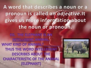 Adjectives