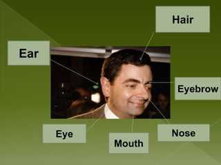 Hair
Ear
Eyebrow
Eye Nose
Mouth
 