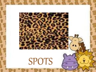 SPOTS 
 