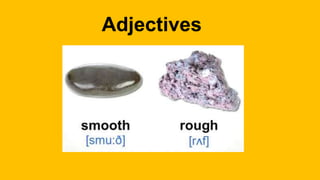 Adjectives
 