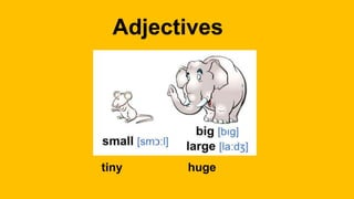 Adjectives
tiny huge
 