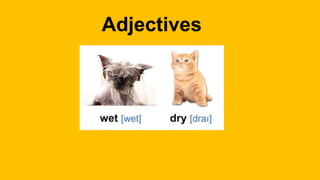 Adjectives
 