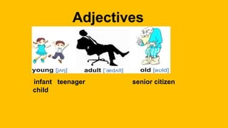 Adjectives
infant teenager senior citizen
child
 