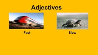 Adjectives
Fast Slow
 