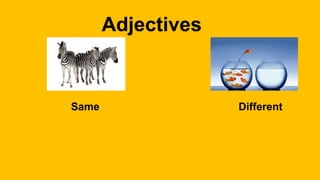 Adjectives
Same Different
 
