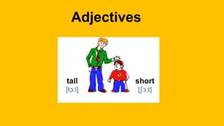Adjectives
 