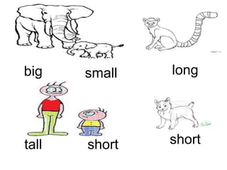 Adjectives | PPTX