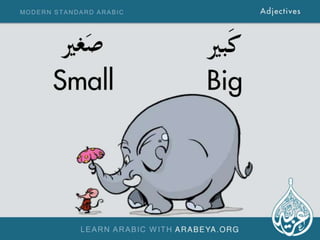 Adjectives in Modern Standard Arabic - 