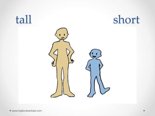 tall short
www.ingilizcebankasi.com
 