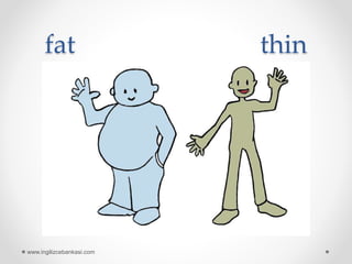 fat thin
www.ingilizcebankasi.com
 