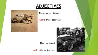 ADJECTIVES
The cheetah is fast
fast is the adjective
The car is old
old is the adjective
 