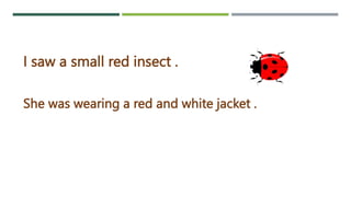 Insect Adjectives Adjectives. | PPTX